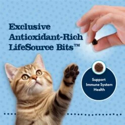 Blue Buffalo Baby Blue Healthy Growth Formula Grain-Free High Protein Chicken & Pea Recipe Kitten Dry Food -PurePet Bites Shop 354158 PT6. AC SS1800 V1641338239