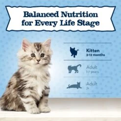 Blue Buffalo Baby Blue Healthy Growth Formula Grain-Free High Protein Chicken & Pea Recipe Kitten Dry Food -PurePet Bites Shop 354158 PT7. AC SS1800 V1641334592