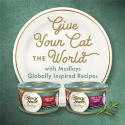 Fancy Feast Medleys Beef & Pork Milanese With Carrots & Potatoes In Savory Juices Wet Cat Food, 3-oz Can, Case Of 24 -PurePet Bites Shop 354298 PT5. AC SS1800 V1670510379
