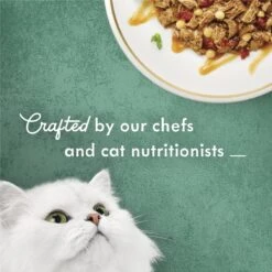 Fancy Feast Medleys In Gravy Beef Ragu Recipe With Tomatoes & Pasta In A Savory Sauce Wet Cat Food, 3-oz Can, Case Of 24 -PurePet Bites Shop 354300 PT3. AC SS1800 V1640317328