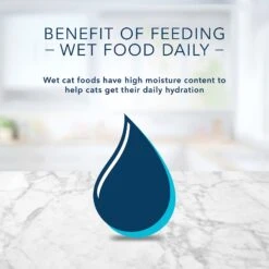 Blue Buffalo Tastefuls Savory Singles Chicken Entrée Cuts In Gravy Adult Cat Food, 2.6-oz Cup, Case Of 24 -PurePet Bites Shop 354421 PT8. AC SS1800 V1642009056