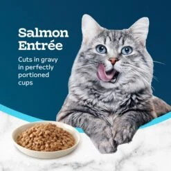 Blue Buffalo Tastefuls Savory Singles Salmon Entrée Cuts In Gravy Adult Cat Food, 2.6-oz Cup, Case Of 24 -PurePet Bites Shop 354423 PT3. AC SS1800 V1642015292