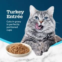 Blue Buffalo Tastefuls Savory Singles Turkey Entrée Cuts In Gravy Adult Cat Food, 2.6-oz Cup, Case Of 24 -PurePet Bites Shop 354425 PT3. AC SS1800 V1642015040