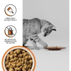 BIXBI RAWBBLE Chicken Recipe Grain-Free Freeze-Dried Cat Food -PurePet Bites Shop 355136 PT2. AC SS1800 V1668735699