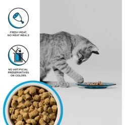 BIXBI RAWBBLE Chicken & Salmon Recipe Grain-Free Freeze-Dried Cat Food -PurePet Bites Shop 355142 PT2. AC SS1800 V1668730004