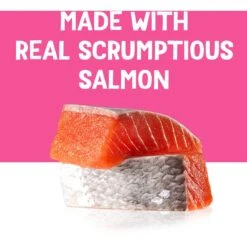 Friskies Pureed Topper Lil Shakes With Scrumptious Salmon Cat Food -PurePet Bites Shop 356286 PT4. AC SS1800 V1640288487