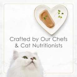 Fancy Feast Gourmet Pate Petites Tender Turkey Entree Wet Cat Food -PurePet Bites Shop 358575 PT6. AC SS1800 V1649700420