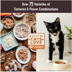 Wellness CORE Tiny Tasters Kitten Chicken Grain-Free Pate Wet Cat Food, 1.75-oz Pouch, Case Of 12 -PurePet Bites Shop 363903 PT1. AC SS1800 V1695845856