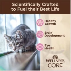 Wellness CORE Tiny Tasters Kitten Chicken Grain-Free Pate Wet Cat Food, 1.75-oz Pouch, Case Of 12 -PurePet Bites Shop 363903 PT2. AC SS1800 V1695832282
