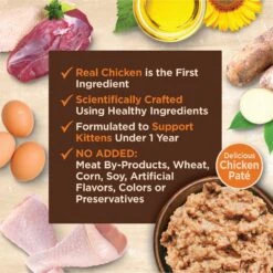 Wellness CORE Tiny Tasters Kitten Chicken Grain-Free Pate Wet Cat Food, 1.75-oz Pouch, Case Of 12 -PurePet Bites Shop 363903 PT3. AC SS1800 V1695841330