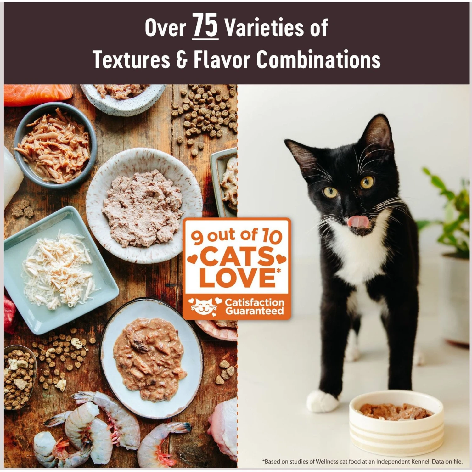 Wellness Tiny Tasters Chicken & Beef Grain-Free Minced Wet Cat Food, 1.75-oz Pouch, Case Of 12 4 Wellness Tiny Tasters Chicken & Beef Grain-Free Minced Wet Cat Food, 1.75-oz Pouch, Case Of 12 - Image 2