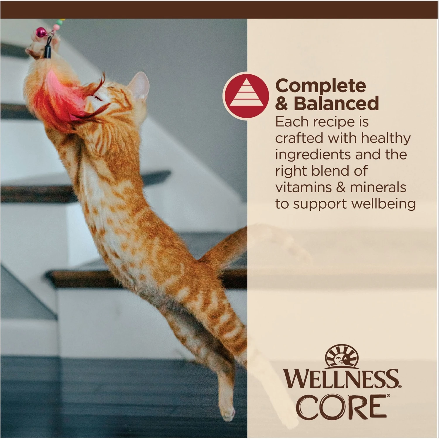 Wellness Tiny Tasters Chicken & Beef Grain-Free Minced Wet Cat Food, 1.75-oz Pouch, Case Of 12 9 Wellness Tiny Tasters Chicken & Beef Grain-Free Minced Wet Cat Food, 1.75-oz Pouch, Case Of 12 - Image 7