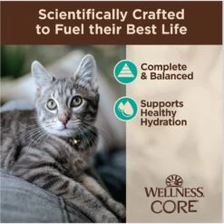 Wellness Tiny Tasters Tuna & Salmon Grain-Free Flaked Wet Cat Food, 1.75-oz Pouch, Case Of 12 14 Wellness Tiny Tasters Tuna & Salmon Grain-Free Flaked Wet Cat Food, 1.75-oz Pouch, Case Of 12 -PurePet Bites Shop 363909 PT3. AC SS1800 V1695845856