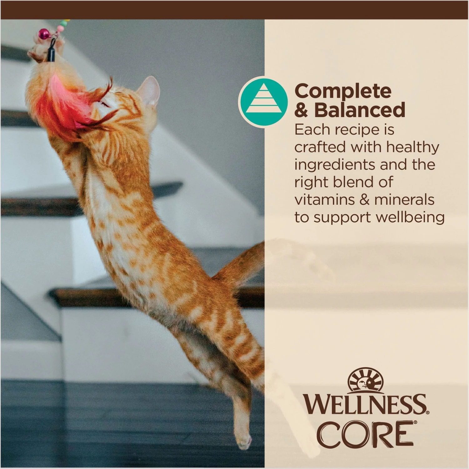 Wellness Tiny Tasters Tuna & Salmon Grain-Free Flaked Wet Cat Food, 1.75-oz Pouch, Case Of 12 9 Wellness Tiny Tasters Tuna & Salmon Grain-Free Flaked Wet Cat Food, 1.75-oz Pouch, Case Of 12 - Image 7