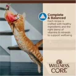 Wellness CORE Tiny Tasters Tuna & Shrimp Grain-Free Flaked Wet Cat Food, 1.75-oz Pouch, Case Of 12 -PurePet Bites Shop 363911 PT6. AC SS1800 V1695845856