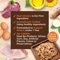Wellness CORE Tiny Tasters Kitten Chicken Grain-Free Minced Wet Cat Food, 1.75-oz Pouch, Case Of 12 -PurePet Bites Shop 363913 PT3. AC SS1800 V1695841334