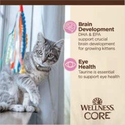Wellness CORE Tiny Tasters Kitten Chicken Grain-Free Minced Wet Cat Food, 1.75-oz Pouch, Case Of 12 -PurePet Bites Shop 363913 PT5. AC SS1800 V1695832229