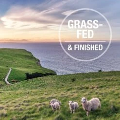 Feline Natural Chicken Feast Grain-Free Canned Cat Food -PurePet Bites Shop 363949 PT2. AC SS1800 V1643675487