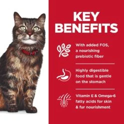 Hill's Science Diet Adult Sensitive Stomach & Skin Salmon & Tuna Wet Cat Food -PurePet Bites Shop 364091 PT4. AC SS1800 V1643907092