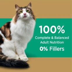 Iams Proactive Health Long Hair Care With Real Chicken & Salmon Adult Dry Cat Food 13 Iams Proactive Health Long Hair Care With Real Chicken & Salmon Adult Dry Cat Food -PurePet Bites Shop 371377 PT2. AC SS1800 V1648500743