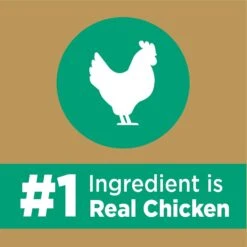 Iams Proactive Health Long Hair Care With Real Chicken & Salmon Adult Dry Cat Food 15 Iams Proactive Health Long Hair Care With Real Chicken & Salmon Adult Dry Cat Food -PurePet Bites Shop 371377 PT4. AC SS1800 V1648503701