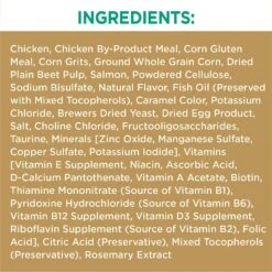 Iams Proactive Health Long Hair Care With Real Chicken & Salmon Adult Dry Cat Food 16 Iams Proactive Health Long Hair Care With Real Chicken & Salmon Adult Dry Cat Food -PurePet Bites Shop 371377 PT5. AC SS1800 V1648515387