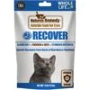 Whole Life Natures Remedy Recover Interim Stomach Distress Cat Food, 8-oz Bag 1 Whole Life Natures Remedy Recover Interim Stomach Distress Cat Food, 8-oz Bag -PurePet Bites Shop 373191 MAIN. AC SS1800 V1673973772