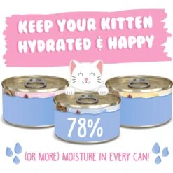 Weruva Kitten Fur Baby Favorites Chicken Flavored Shredded Wet Cat Food Variety Pack, 3-oz Can, Case Of 12 13 Weruva Kitten Fur Baby Favorites Chicken Flavored Shredded Wet Cat Food Variety Pack, 3-oz Can, Case Of 12 -PurePet Bites Shop 373278 PT3. AC SS1800 V1649879824