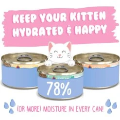 Weruva Kitten Can Jam! Chicken, Tuna & Salmon Flavored Pate Canned Cat Food Variety Pack -PurePet Bites Shop 373280 PT3. AC SS1800 V1657657676