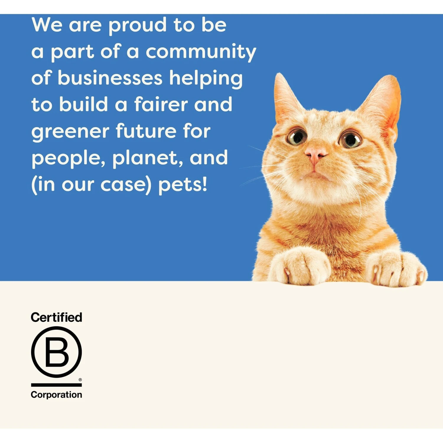 Applaws Whitefish, Salmon & Green Beans In Broth Wet Cat Food, 2.12-oz, Case Of 18 9 Applaws Whitefish, Salmon & Green Beans In Broth Wet Cat Food, 2.12-oz, Case Of 18 - Image 7