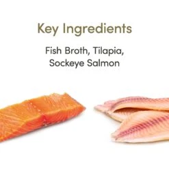 Applaws Grilled Tilapia Flakes With Sockeye Salmon In Gravy Wet Cat Food, 2.12-oz, Case Of 18 11 Applaws Grilled Tilapia Flakes With Sockeye Salmon In Gravy Wet Cat Food, 2.12-oz, Case Of 18 -PurePet Bites Shop 373477 PT2. AC SS1800 V1649467598