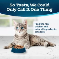 Blue Buffalo Tastefuls Active Natural Chicken Adult Dry Cat Food -PurePet Bites Shop 46866 PT2. AC SS1800 V1694184694