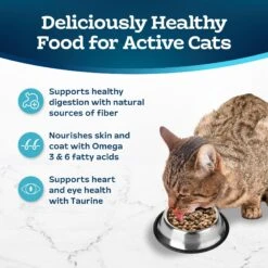 Blue Buffalo Tastefuls Active Natural Chicken Adult Dry Cat Food -PurePet Bites Shop 46866 PT3. AC SS1800 V1694186620