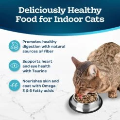 Blue Buffalo Tastefuls Chicken Indoor Natural Adult Dry Cat Food 14 Blue Buffalo Tastefuls Chicken Indoor Natural Adult Dry Cat Food -PurePet Bites Shop 46913 PT3. AC SS1800 V1692644692