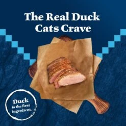 Blue Buffalo Wilderness Duck Recipe Grain-Free Dry Cat Food -PurePet Bites Shop 46922 PT2. AC SS1800 V1599018674