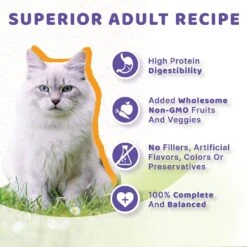 Halo Adult Grain-Free Pate Chicken Recipe In Broth Wet Cat Food 16 Halo Adult Grain-Free Pate Chicken Recipe In Broth Wet Cat Food -PurePet Bites Shop 47574 PT5. AC SS1800 V1633468613