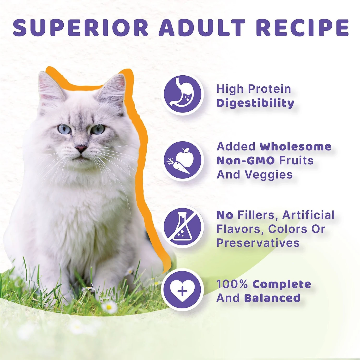 Halo Adult Grain-Free Pate Chicken Recipe In Broth Wet Cat Food 8 Halo Adult Grain-Free Pate Chicken Recipe In Broth Wet Cat Food - Image 6