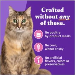 Halo Adult Grain-Free Turkey Recipe In Broth Soft Pate Wet Cat Food 15 Halo Adult Grain-Free Turkey Recipe In Broth Soft Pate Wet Cat Food -PurePet Bites Shop 47576 PT5. AC SS1800 V1698767362