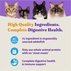 Halo Holistic Wild-Caught Whitefish Recipe Sensitive Stomach Support Adult Dry Cat Food -PurePet Bites Shop 47592 PT5. AC SS1800 V1672935678