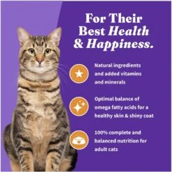 Halo Holistic Cage-free Chicken Recipe Complete Digestive Health Adult Dry Cat Food 17 Halo Holistic Cage-free Chicken Recipe Complete Digestive Health Adult Dry Cat Food -PurePet Bites Shop 47594 PT8. AC SS1800 V1672180484