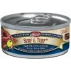 Merrick Surf & Turf Cat & Kitten Gourmet Entree Canned Cat Food -PurePet Bites Shop 47905. AC SS1800 V1460478784