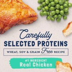 Natural Balance L.I.D. Limited Ingredient Diets Green Pea & Chicken Formula Grain-Free Dry Cat Food -PurePet Bites Shop 48051 PT3. AC SS1800 V1668457300