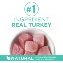 Purina ONE +Plus Sensitive Skin & Stomach Natural Adult Dry Cat Food -PurePet Bites Shop 48649 PT3. AC SS1800 V1677531396