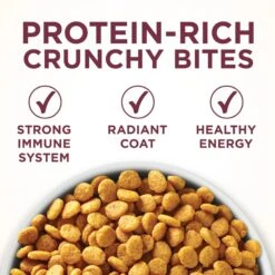 Purina ONE +Plus Urinary Tract Health Formula High Protein Adult Dry Cat Food -PurePet Bites Shop 48651 PT2. AC SS1800 V1657657678