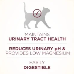 Purina ONE +Plus Urinary Tract Health Formula High Protein Adult Dry Cat Food -PurePet Bites Shop 48651 PT4. AC SS1800 V1653514882