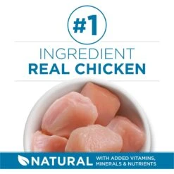 Purina ONE Indoor Advantage Senior 7+ High Protein Natural Dry Cat Food -PurePet Bites Shop 48658 PT2. AC SS1800 V1674845105