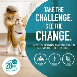 Purina ONE Indoor Advantage Senior 7+ High Protein Natural Dry Cat Food -PurePet Bites Shop 48658 PT7. AC SS1800 V1674851215