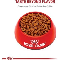 Royal Canin Feline Health Nutrition Sensitive Digestion Adult Dry Cat Food -PurePet Bites Shop 48671 PT1. AC SS1800 V1697758534