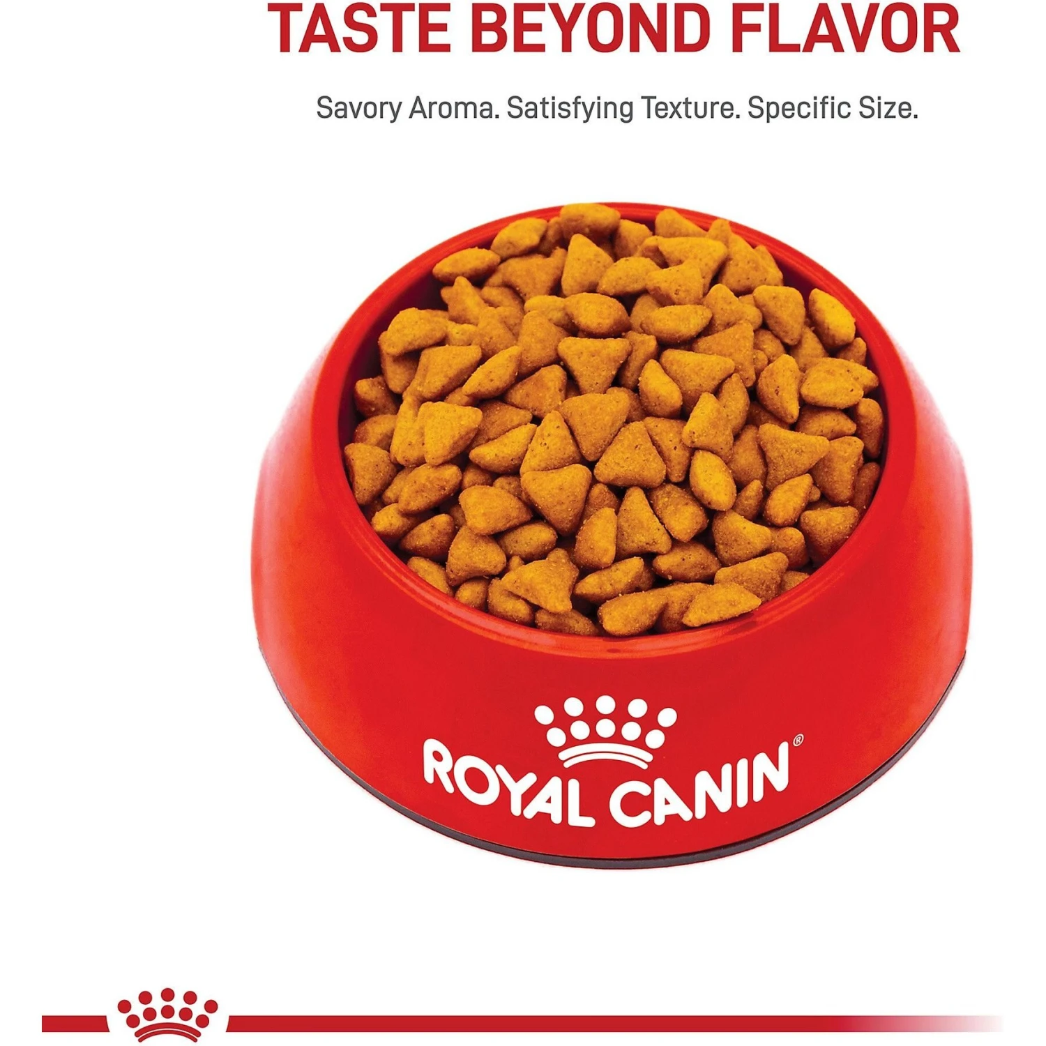 Royal Canin Feline Health Nutrition Indoor Adult Dry Cat Food 4 Royal Canin Feline Health Nutrition Indoor Adult Dry Cat Food - Image 2