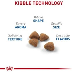 Royal Canin Feline Health Nutrition Indoor Adult Dry Cat Food 14 Royal Canin Feline Health Nutrition Indoor Adult Dry Cat Food -PurePet Bites Shop 48674 PT3. AC SS1800 V1697753707